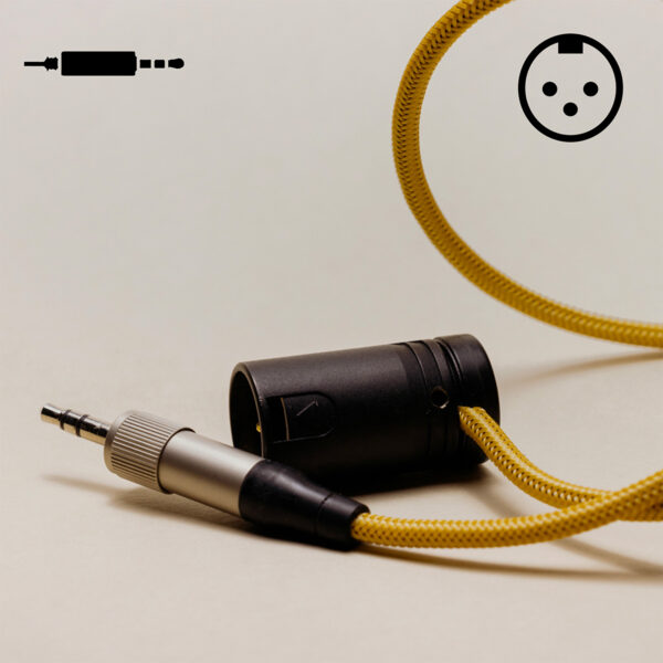 Mini jack - XLR3M