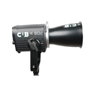 Aputure Storm 80c